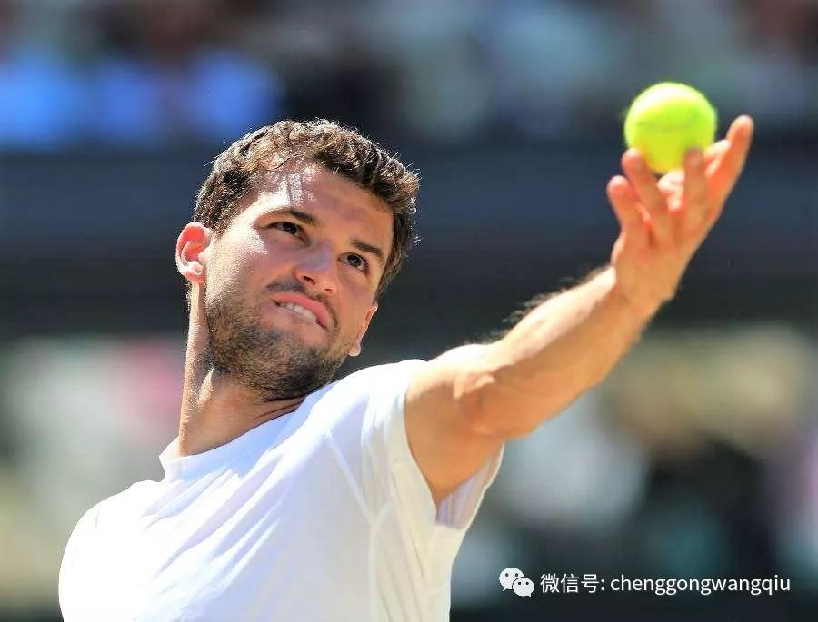 案例分析 案例分析