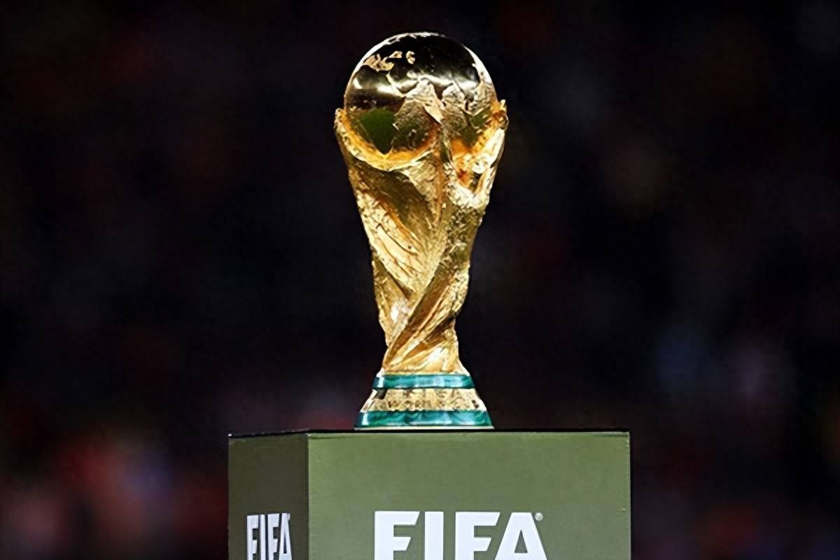 却因竞争激 却因竞争激