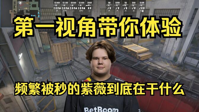分支